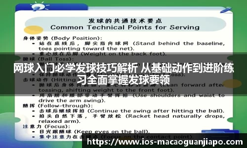 网球入门必学发球技巧解析 从基础动作到进阶练习全面掌握发球要领